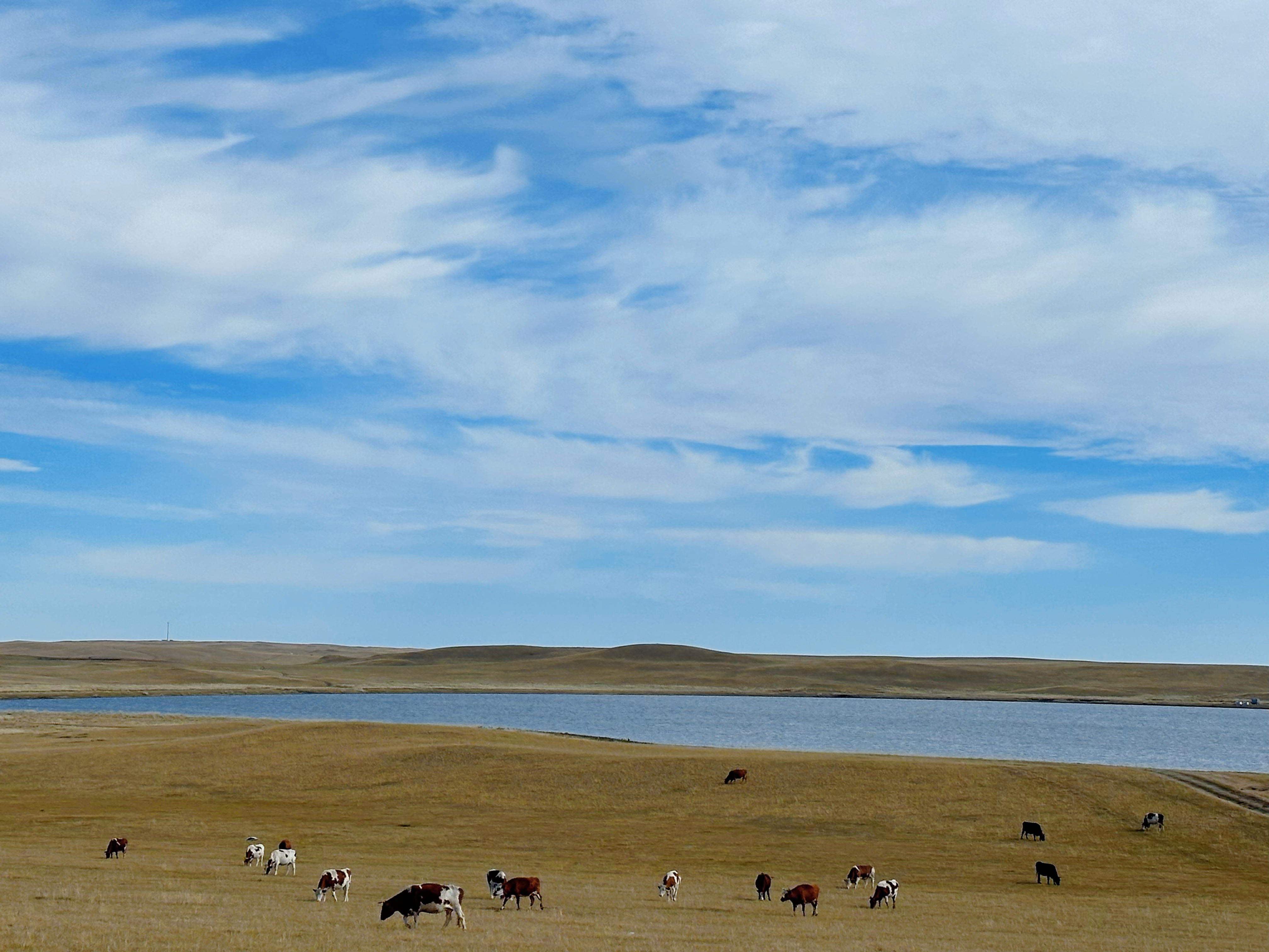 위챗 이미지_20241022144545.jpg